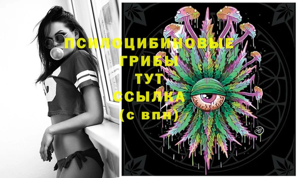 гидропоника Алексин