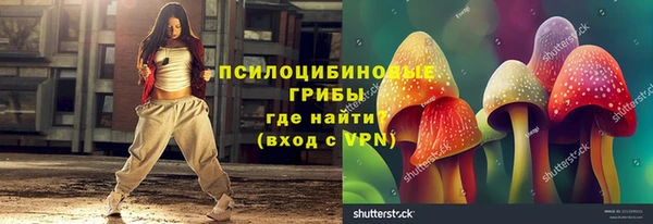 apvp Алзамай
