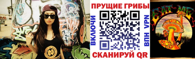 сколько стоит Снежинск Псилоцибиновые грибы Cubensis